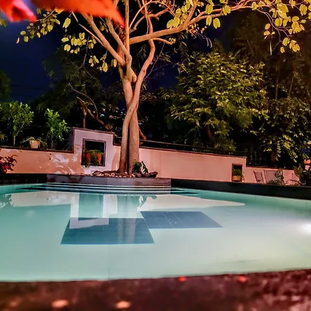 The Saneer Jaipur-2